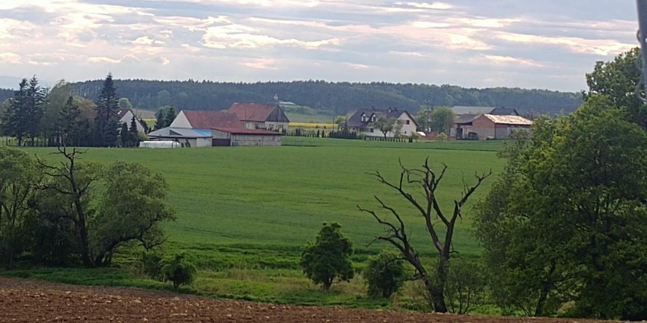 Palac Lucja Bb Zakrzów المظهر الخارجي الصورة